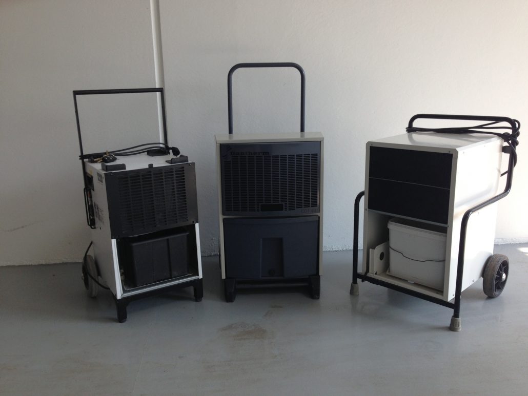 Affugtning med Total Skimmelrens